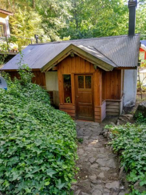 Cabañita en el bosque